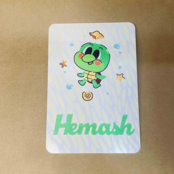 kidoo boards - Bubbly Decors