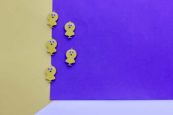 chotu magnets - Bubbly Decors