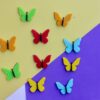chotu magnets - Bubbly Decors